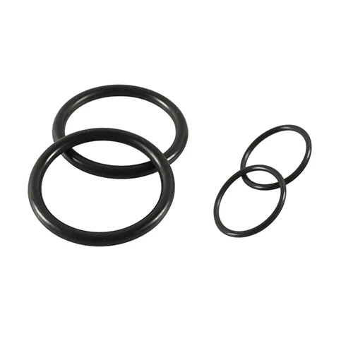 Solenoid-Valve-Seal-Ring
